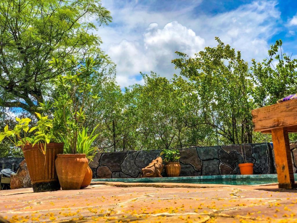 Lesoma Valley Lodge 卡萨内 外观 照片